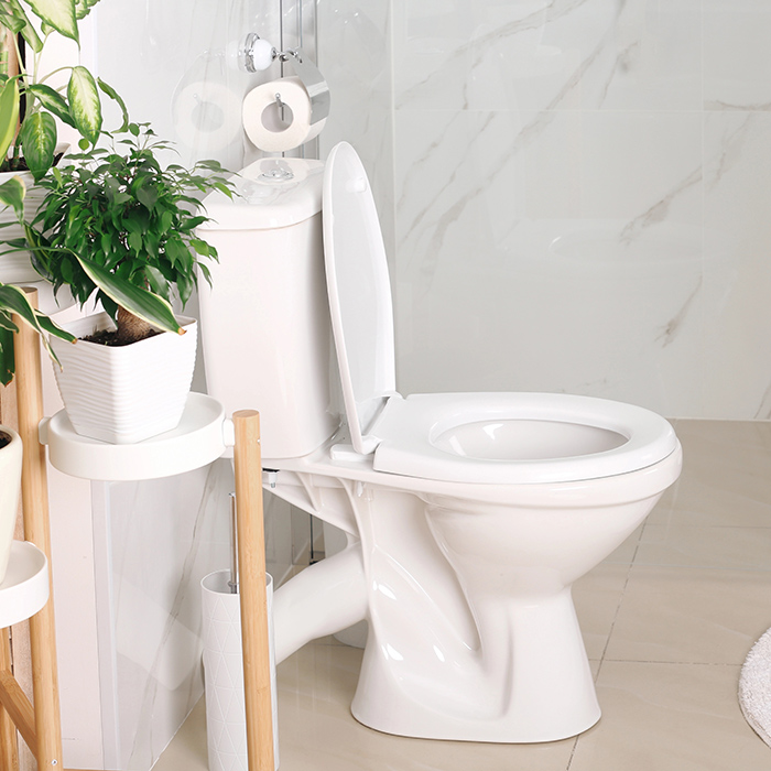 Toilet-Stock-Photo-(3)