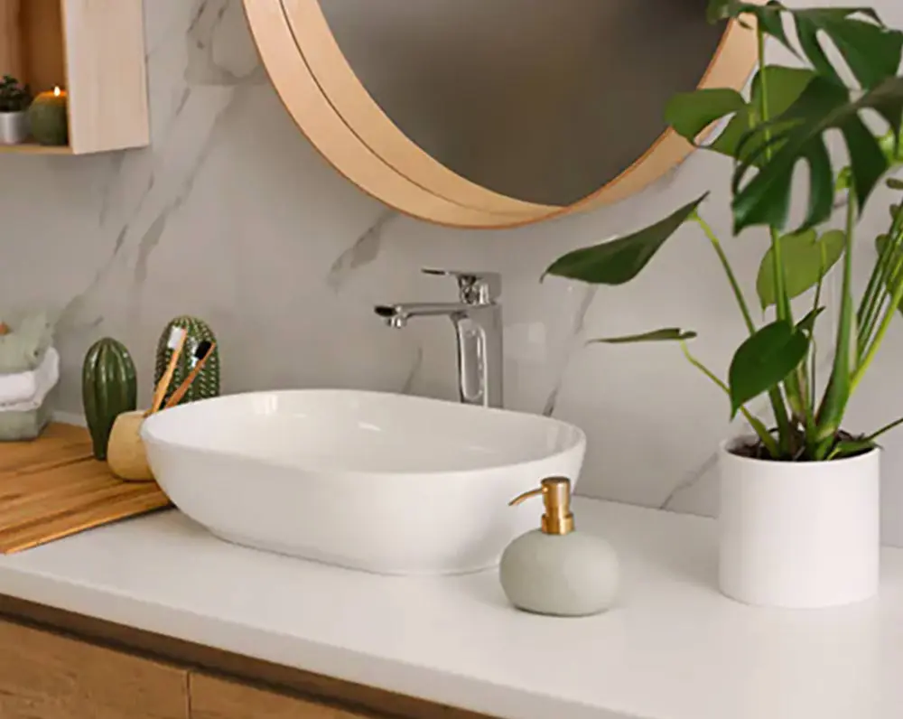 Sink-Image-Services-Section
