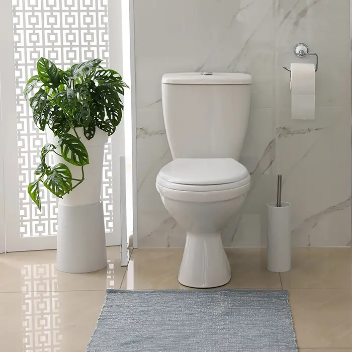 Toilet-Stock-Photo-(2)