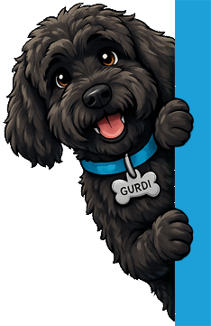 gurdi-entry-banner